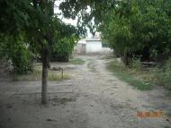 Серпневе з panoramio.com