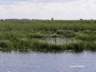 Тур з panoramio.com