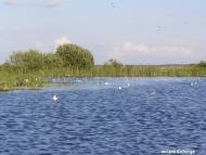 Тур з panoramio.com