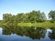 Очкине з panoramio.com