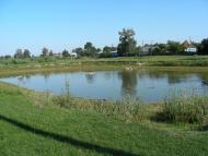 Вертіївка з panoramio.com