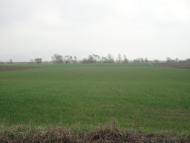 Дротинці з panoramio.com