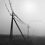 Деменки з panoramio.com