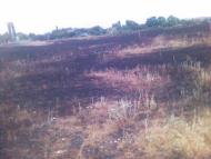 Козирка з panoramio.com