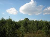 Михайло-Коцюбинське - Останні фото