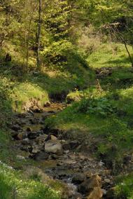 Шевченкове з panoramio.com