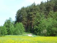 Климентове з panoramio.com