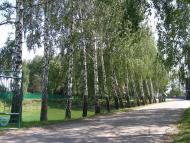 Вертіївка з panoramio.com