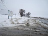 Лісоводи з panoramio.com