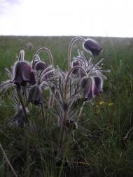 Молочанськ - Останні фото