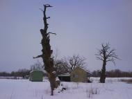 Романків з panoramio.com