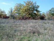 Миколаївське з panoramio.com