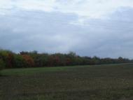 Бузинове - Останні фото