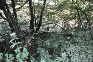 Княгиня з panoramio.com