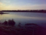 Пушкіне з panoramio.com