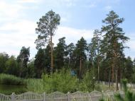 Щурове з panoramio.com - Щурово