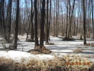 Букине з panoramio.com