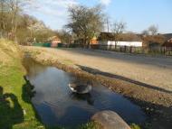 Зарічне з panoramio.com