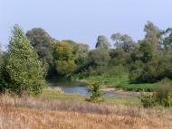 Гуща з panoramio.com