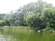 Сокільча - Останні фото