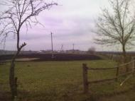 Темногайці з panoramio.com