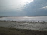 Сиваш з panoramio.com