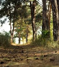 Мартове з panoramio.com