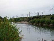 Радушне з panoramio.com