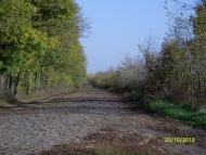 Дубова з panoramio.com