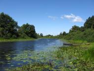 Очкине з panoramio.com