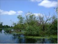 Дунайське з panoramio.com (ч.2)