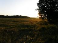 Глезно - Последние фото