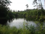 Курдюмівка з panoramio.com