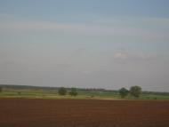 Товстоліс з panoramio.com