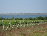 Ленинка - Последние фото