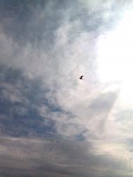 Молочне з panoramio.com