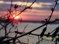 Халеп'я з panoramio.com