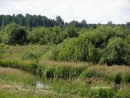 Тур з panoramio.com