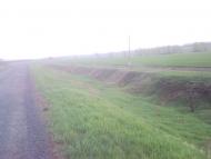 Перекіп - Останні фото