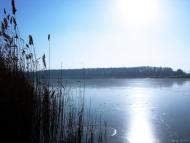 Радушне з panoramio.com