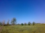 Червоне - Останні фото