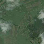 Голендры мои