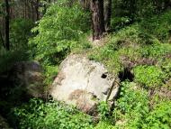 Лінія оборони Києва.Дот 201