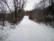 Добрий день Погоріла!