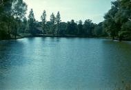 Моє рідне село