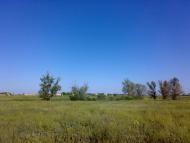 Червоне - Останні фото