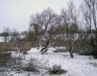 Добрий день Погоріла!