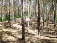 Лінія оборони Києва.Дот 201