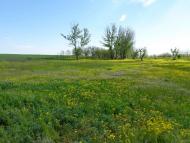 Червоне - Останні фото