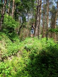 Лінія оборони Києва.Дот 201